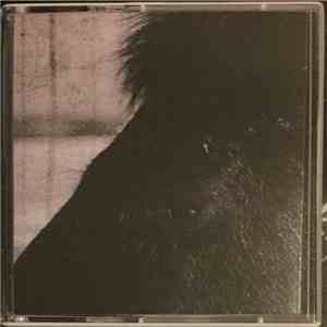 Opium Lord - The Calendrical Cycle - Prologue: The Healer download flac mp3