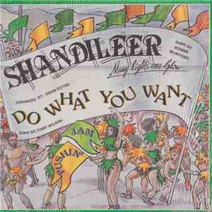 Shandileer - Do What You Want download flac mp3