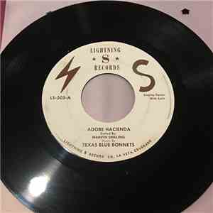 Texas Blue Bonnets, Marvin Shilling - Adobe Hacienda download flac mp3