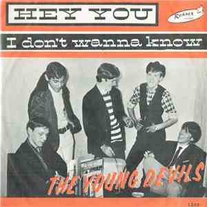 The Young Devils - Hey You download flac mp3