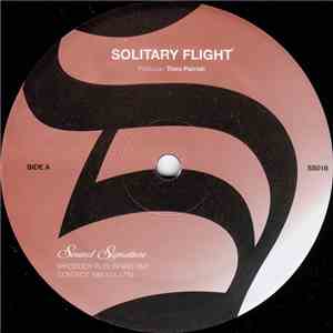 Theo Parrish - Solitary Flight download flac mp3