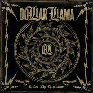 Dollar Llama - Under The Hurricane download flac mp3
