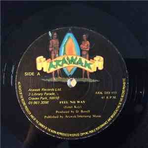 Janet Kay - Feel No Way download flac mp3