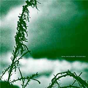 Rafael Anton Irisarri - The North Bend download flac mp3