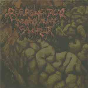 Regurgimentação Necrovaginal Sangrenta - Regurgimentação Necrovaginal Sangrenta download flac mp3