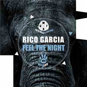 Rico Garcia  - Feel The Night download flac mp3