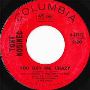 Tony Kosinec - You Got Me Crazy download flac mp3