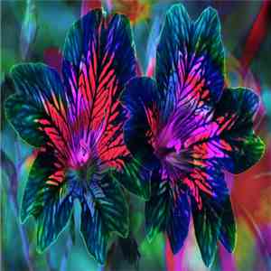 Waqs - leave me alone flac mp3 download