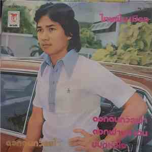 ชรัมภ์ เทพชัย - ดอกดินถวิลฟ้า download flac mp3