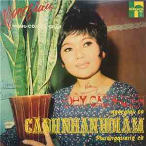 Ngọc Giàu / Thành Được / Trúc Ly / Phương Quang - Đêm Cầu Nguyện / Cánh Nhạn Hồi Âm download flac mp3