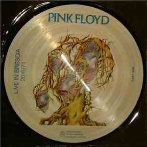 Pink Floyd - Live In Brescia 20/6/71 download flac mp3