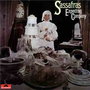 Sassafras - Expecting Company download flac mp3