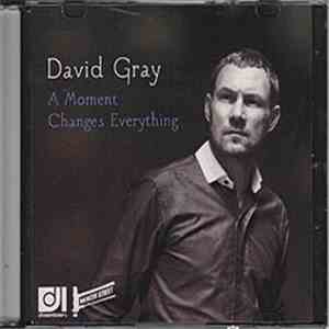 David Gray - A Moment Changes Everything download flac mp3