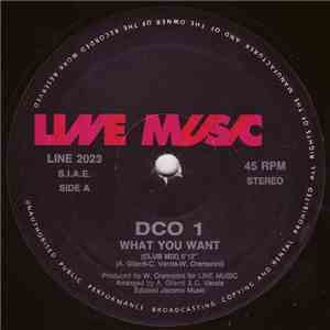 Dco1 - What You Want download flac mp3