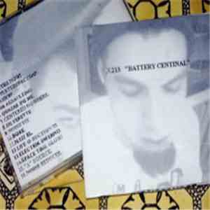 N.213 - Battery Centinal download flac mp3
