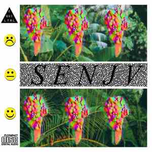 S e n j v - Acid Places download flac mp3