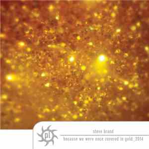 Steve Brand - Because We Were Once Covered In Gold download flac mp3