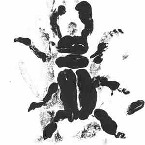 The Infant Cycle - Posthumousness Now download flac mp3
