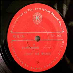 The Wasps  - ลาวดวงเดือน / โธ่เอ๋ย download flac mp3
