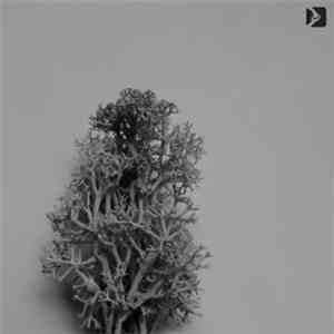 Zoran Relic - Ascetic EP download flac mp3