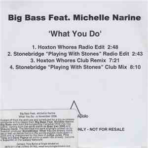 Big Bass Feat. Michelle Narine - What You Do (Playing With Stones) download flac mp3
