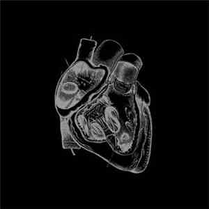 Borealis  - Of The Heart Increased download flac mp3