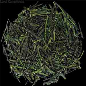 Lord Cernunnos - お茶 download flac mp3
