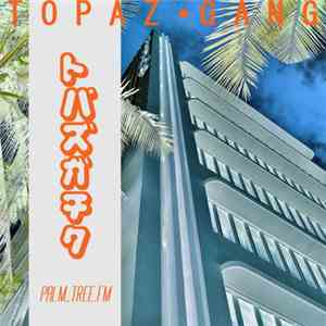 Topaz Gang - Palm_tree​.​fm download flac mp3