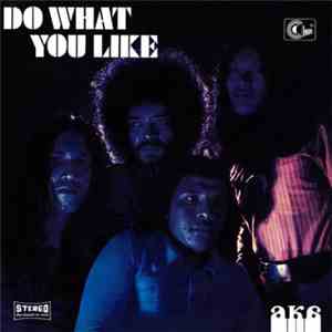 AKA  - Do What You Like download flac mp3