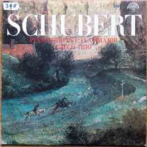 Franz Schubert - Czech Trio - Piano Trio In E Flat Major download flac mp3