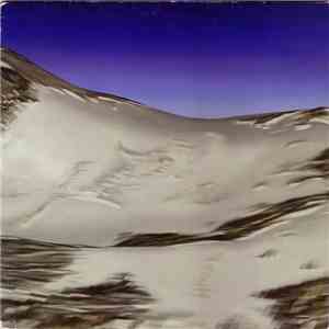 Institut Fuer Feinmotorik - Penetrans download flac mp3