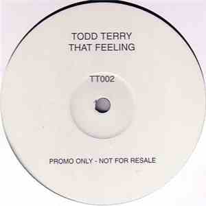 Todd Terry - That Feeling download flac mp3