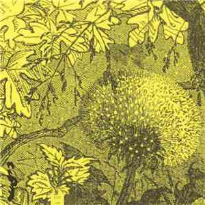 Various - Salt download flac mp3