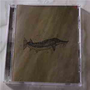 Hunter-Gatherer  - Regathered download flac mp3