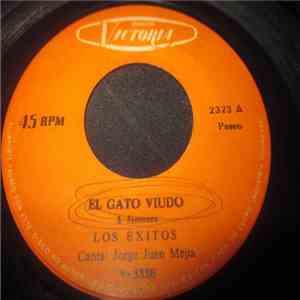 Los Exitos - El Gato Viudo / Ni Me Llores Ni Te Lloro download flac mp3