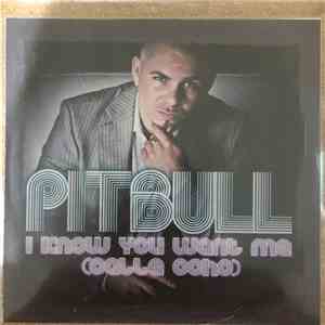 Pitbull - I Know You Want Me (Calle Ocho) download flac mp3