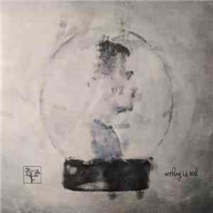 The Flashbulb - Nothing Is Real download flac mp3
