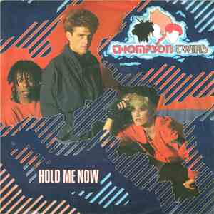 Thompson Twins - Hold Me Now download flac mp3