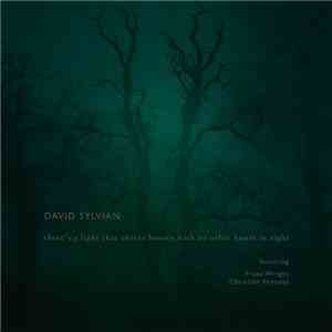 David Sylvian Featuring Franz Wright, Christian Fennesz - There's A Light That Enters Houses With No Other House In Sight download flac mp3