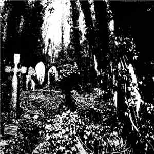 Ivy Garden Of The Desert - Docile download flac mp3