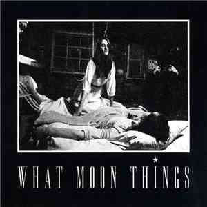 What Moon Things - What Moon Things download flac mp3