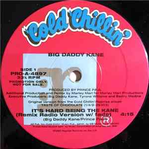 Big Daddy Kane - It's Hard Being The Kane download flac mp3