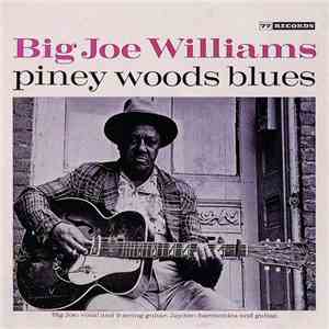 Big Joe Williams - Piney Woods Blues download flac mp3