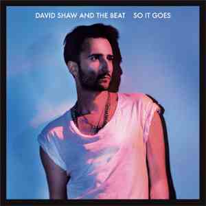 David Shaw And The Beat - So It Goes download flac mp3
