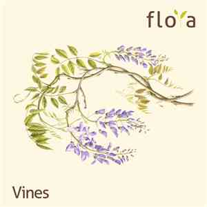 DSF, Tone Depth, Ampish, Adam Husa, Groj - Vines download flac mp3