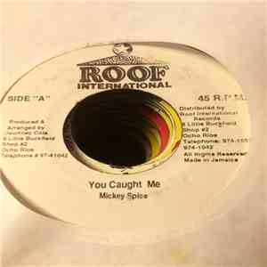 Mikey Spice - You Caught Me download flac mp3