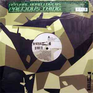 Natural Born Lovers Featuring Meekha - Precious Thing download flac mp3