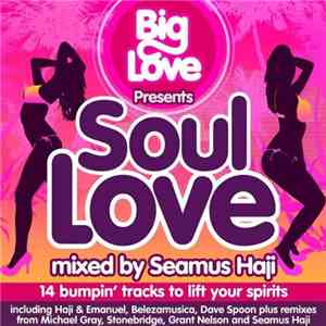 Various - Soul Love download flac mp3